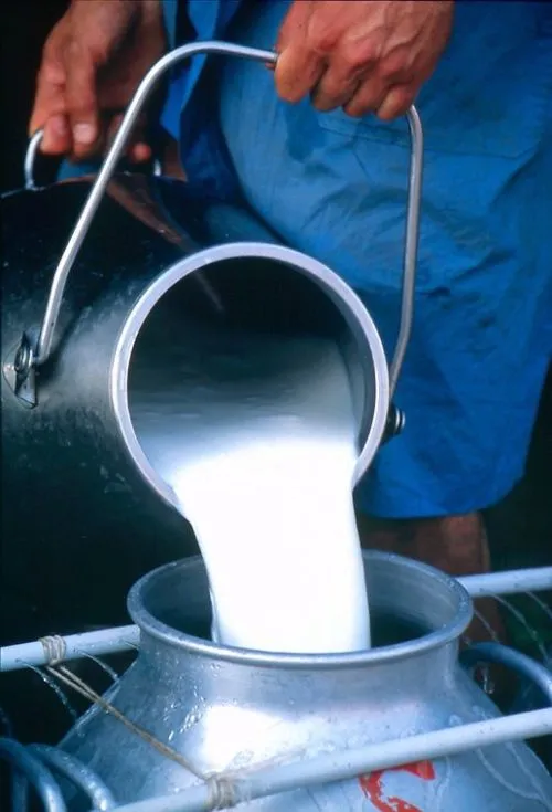 молоко коровье сырое в Орловской области в Пролетарске