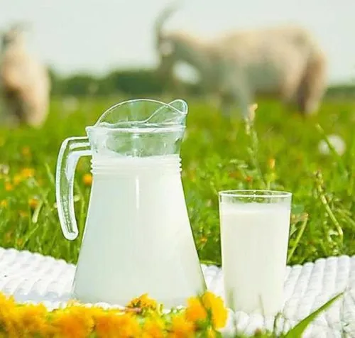 сырое козье молоко в Ростове-на-Дону и Ростовской области