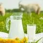 сырое козье молоко в Ростове-на-Дону и Ростовской области