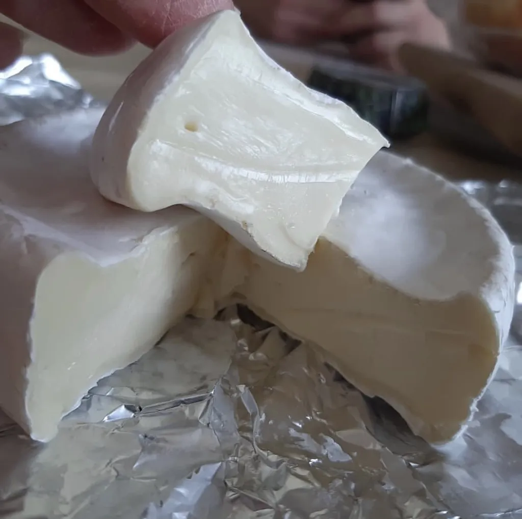 сыр из молока в наличии и  под заказ в Ростове-на-Дону и Ростовской области